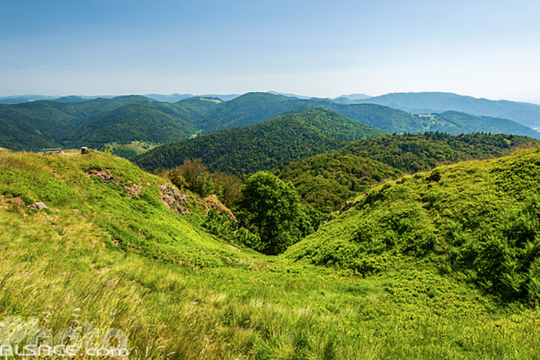 Capture decran 2025-01-04 a 17.38.20