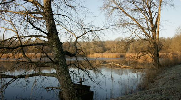 Capture decran 2025-02-01 a 18.58.38