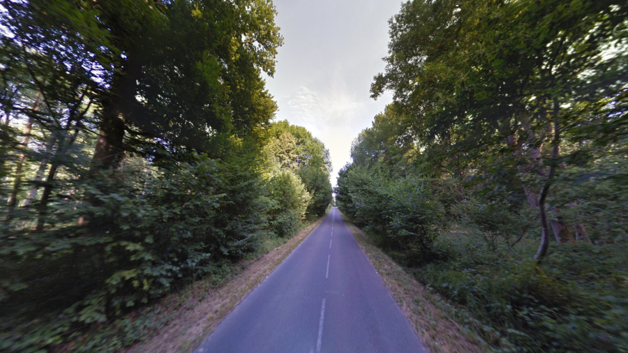 d587b18b-1d86-4420-a2da-90b351b3dedd-2