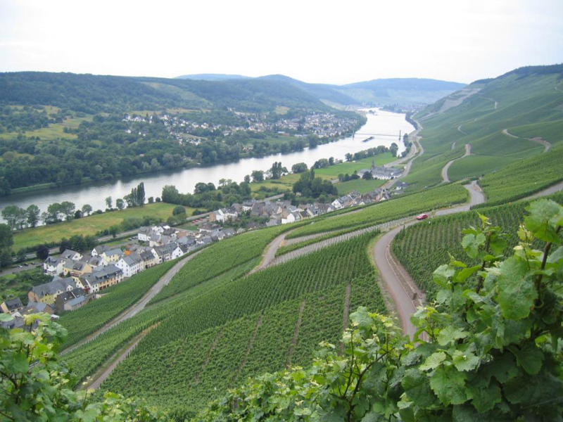 mosel-bei-bernkastel-kues_898673279